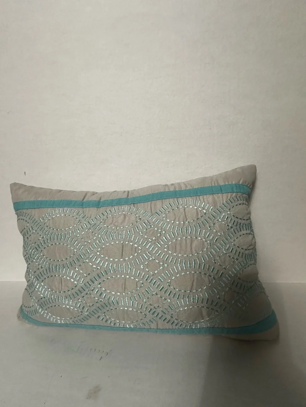 Embroidered Decorative Throw Pillow in Aqua and Beige